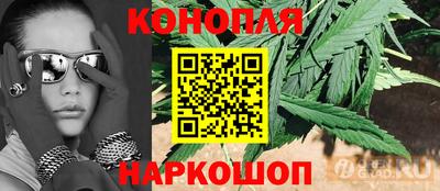 ешки Будённовск