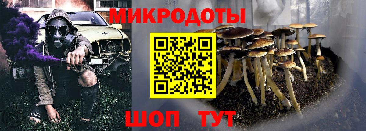 Псилоцибиновые грибы Psilocybe Рыбинск